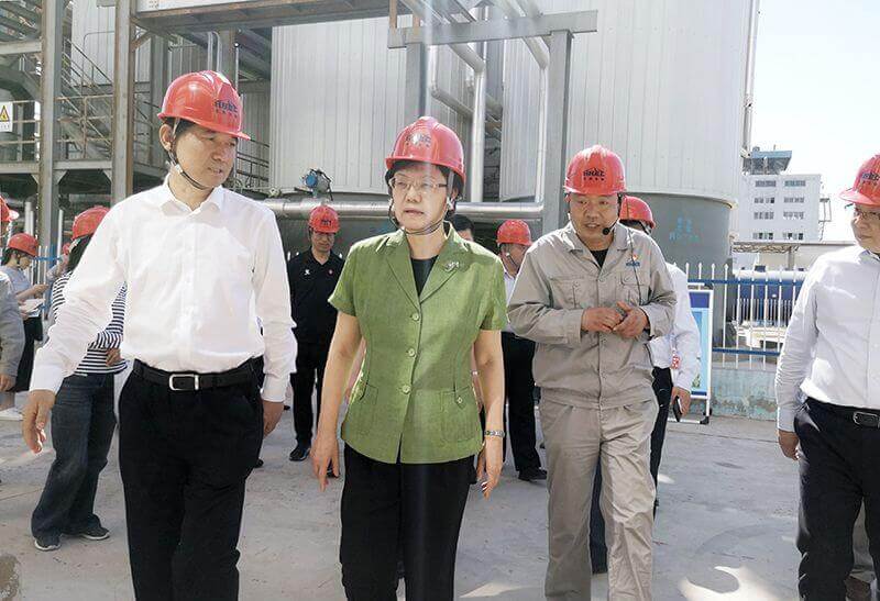 On May 23, 2019, Li Bin (second from left), the vice chairman of the National Committee of the Chinese People's Political Consultative Conference, went to Zhongyuan Dahua for investigation